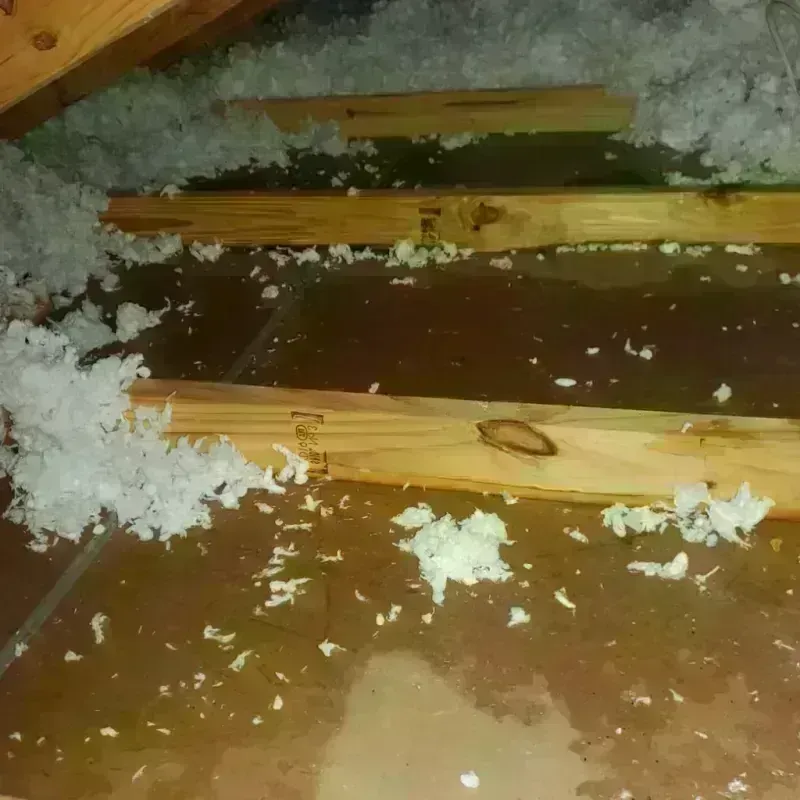 Attic Water Damage in Crawfordsville, IN