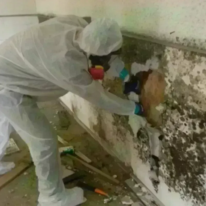 Mold Remediation and Removal in Crawfordsville, IN