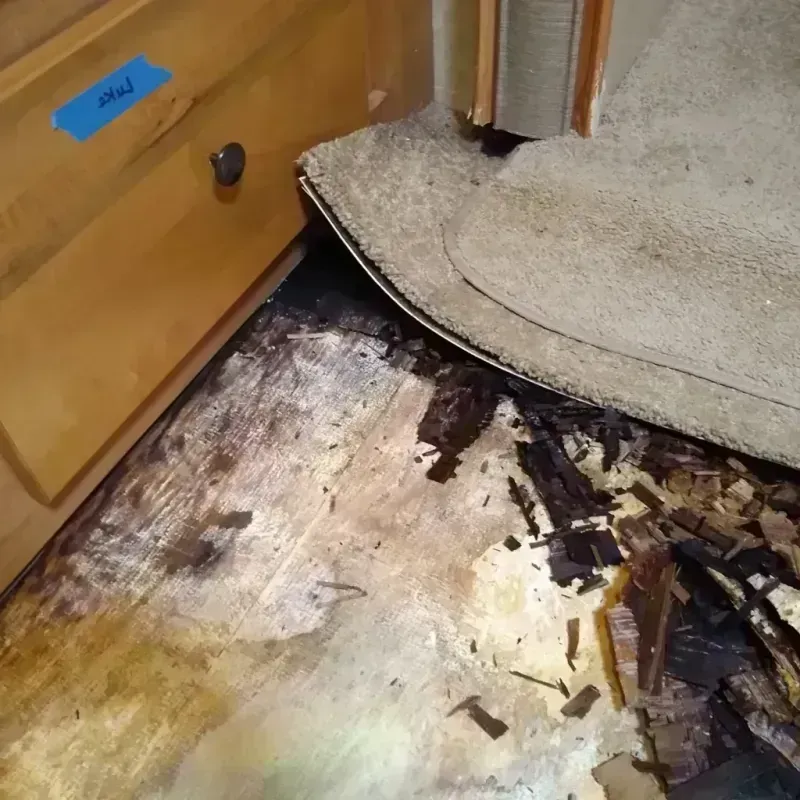 Best Wood Floor Water Damage Service in Crawfordsville, IN